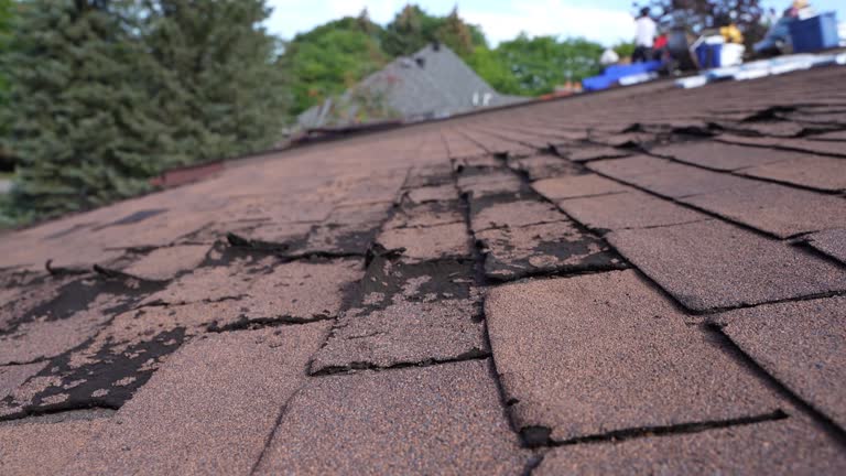 Cold Roofs in North Lynnwood, WA
