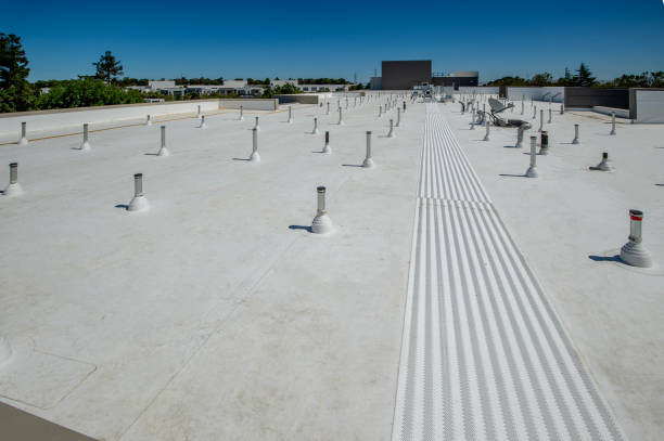 Best Storm Damage Roof Repair  in North Lynnwood, WA